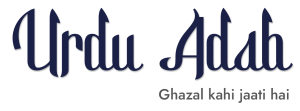 Logo (1)